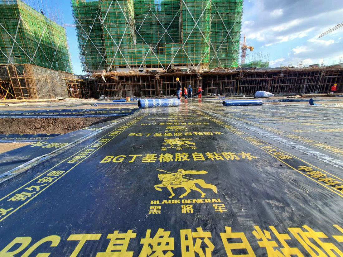 沈阳孔雀城项目
