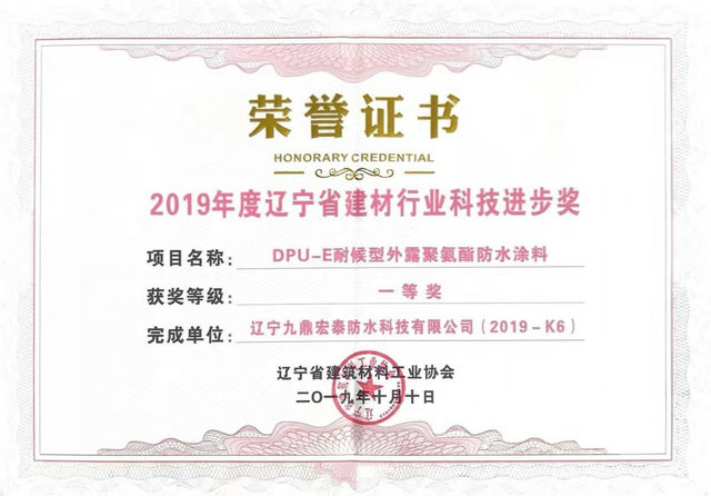2019辽宁科技进步奖DPU-E