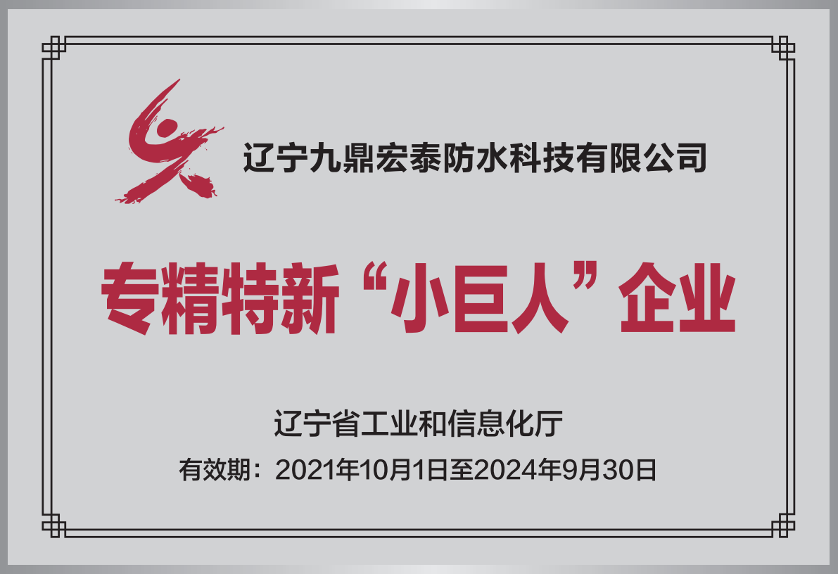 专精特新小巨人企业