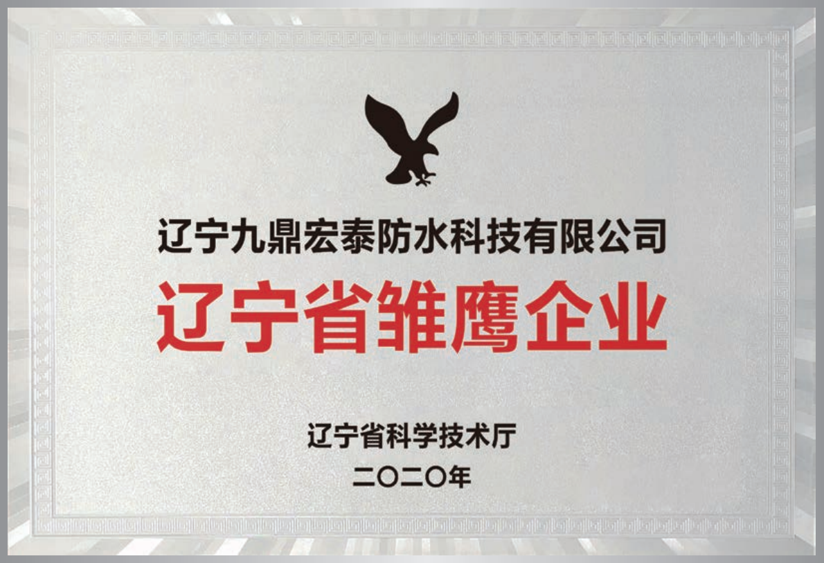 雏鹰企业