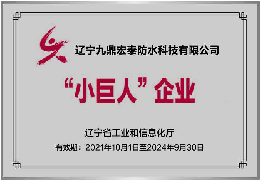 辽宁省小巨人企业
